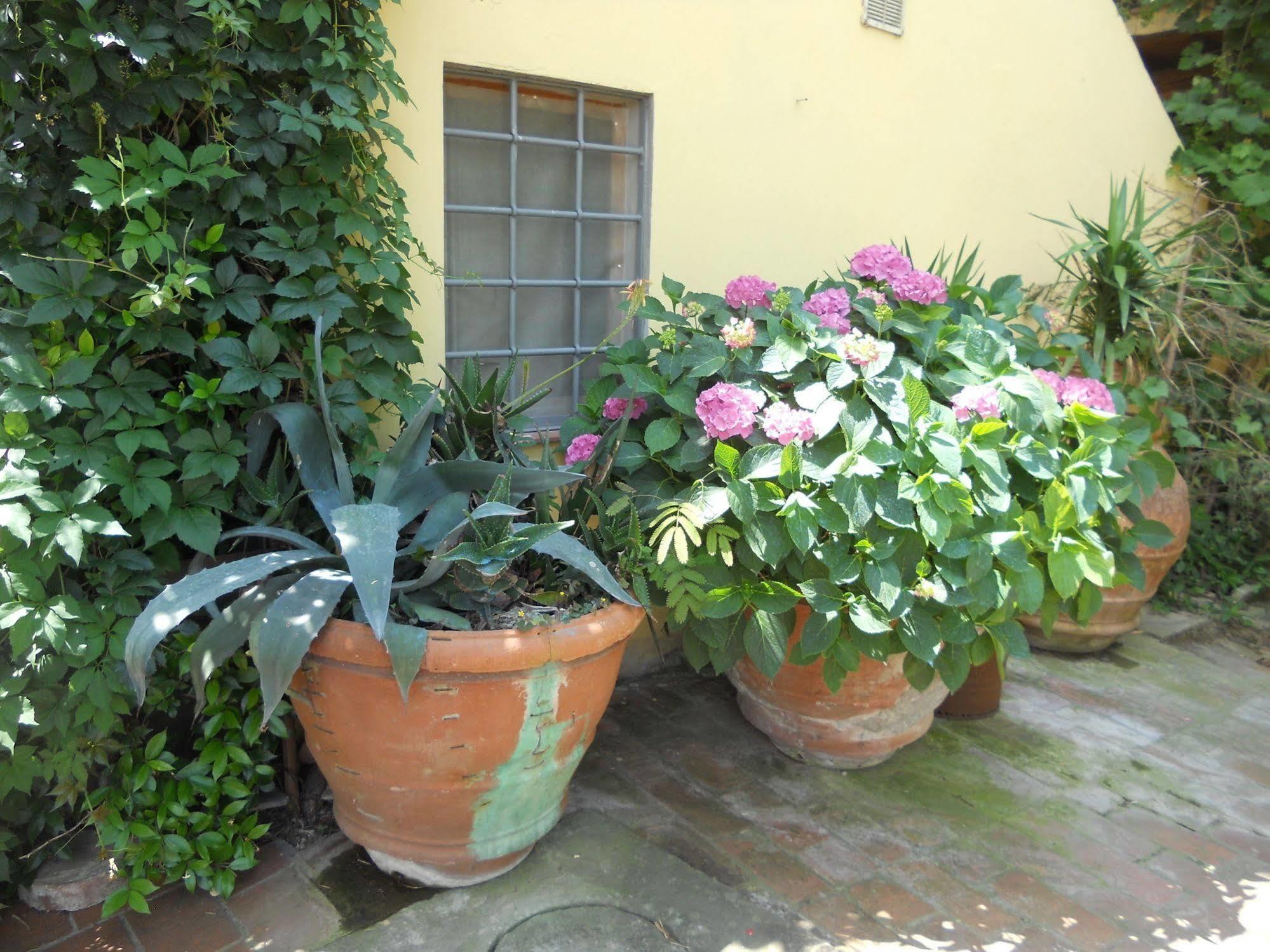 Agriturismo Le Macine Florenţa Exterior foto