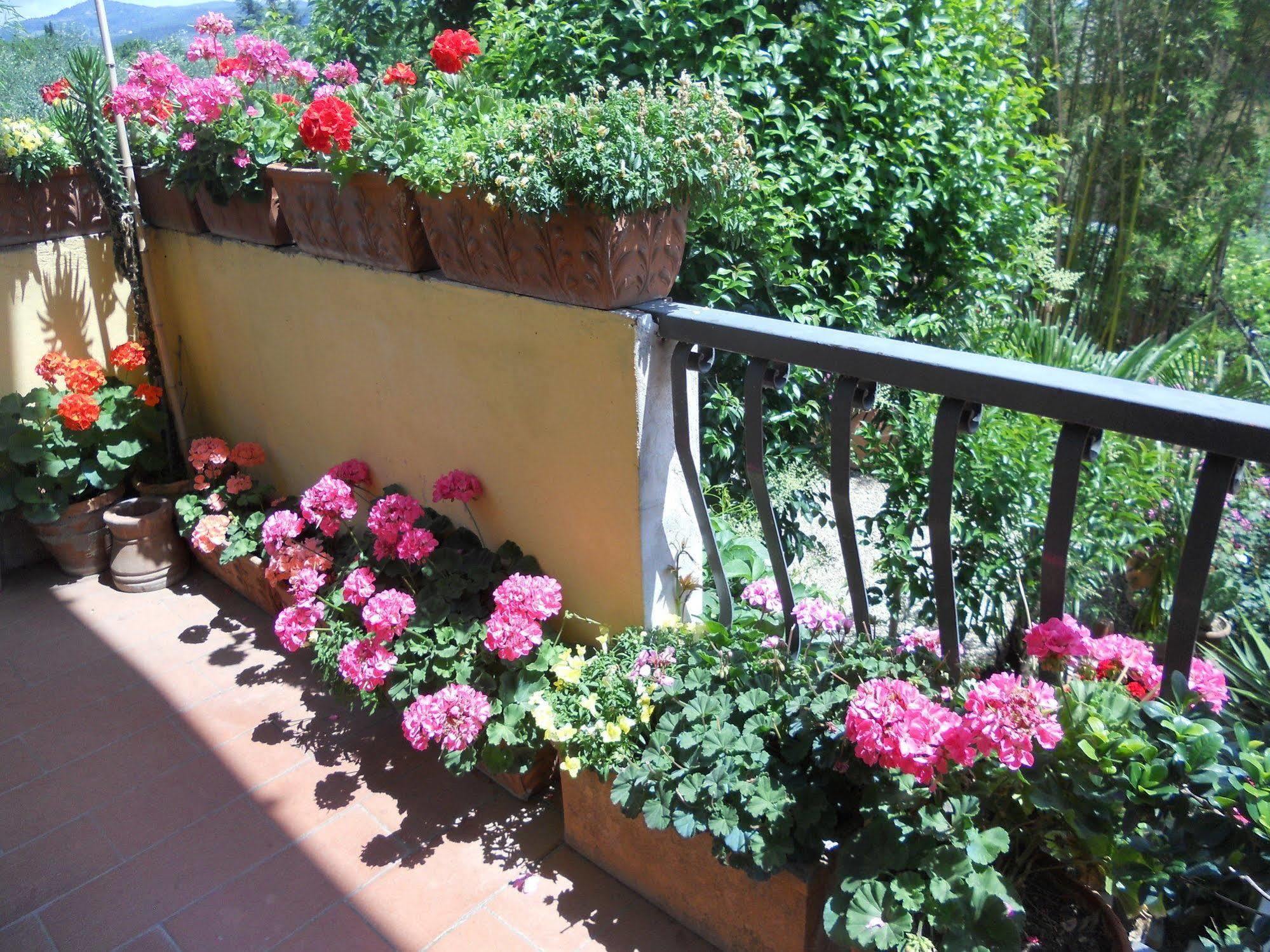 Agriturismo Le Macine Florenţa Exterior foto
